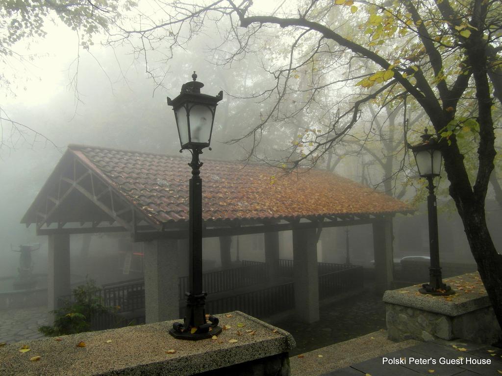 Peter'S Guest House Sighnaghi Exterior photo